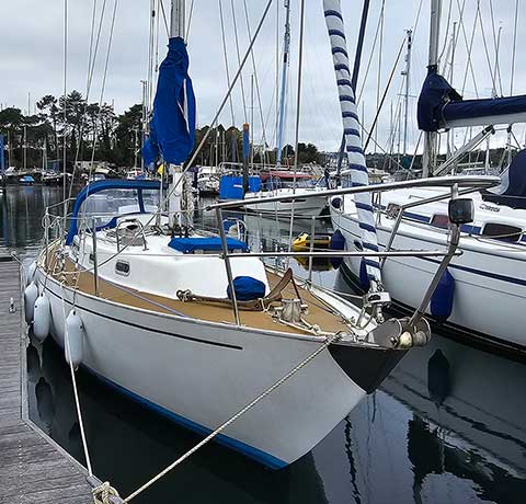 Rustler 31 for sale